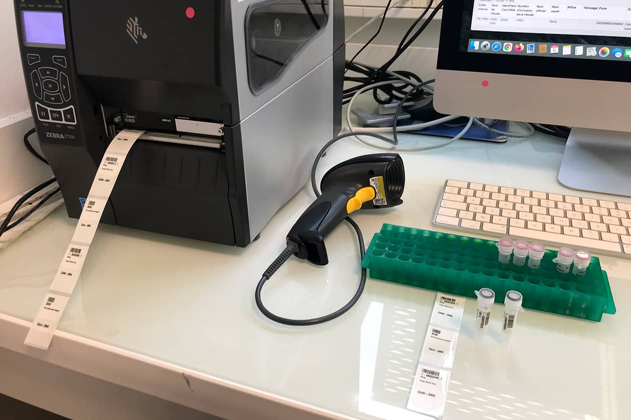 <hr>Attribution d'étiquettes codes-barres aux échantillons pour assurer leur traçabilité au cours des différentes étapes.