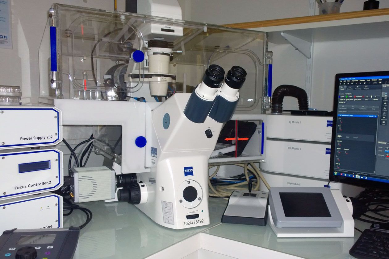 <hr>Zeiss inversé pour la vidéomicroscopie.