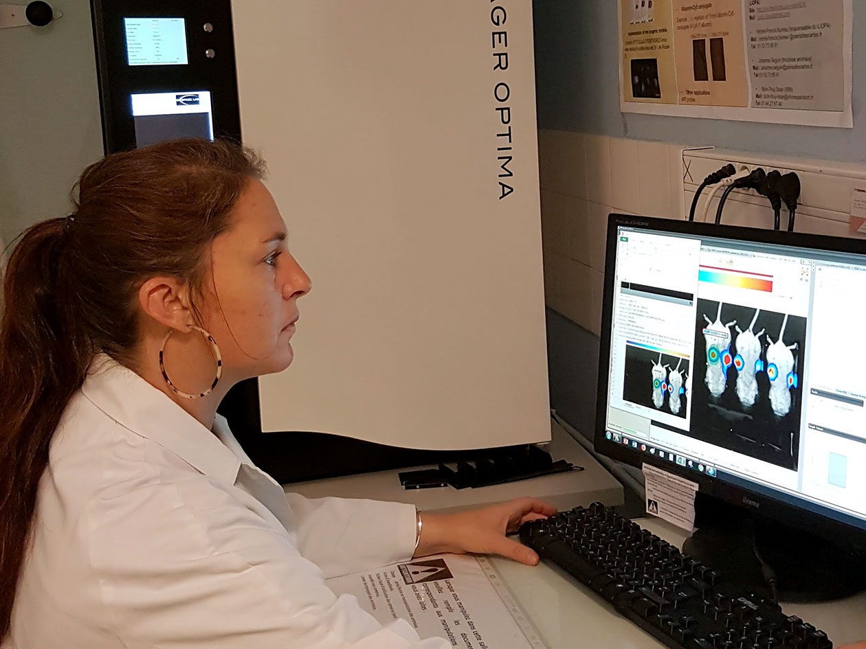 <hr>Analyse de données de bioluminescence obtenues avec la caméra PhotonImager Optima (BioSpace) chez la souris.