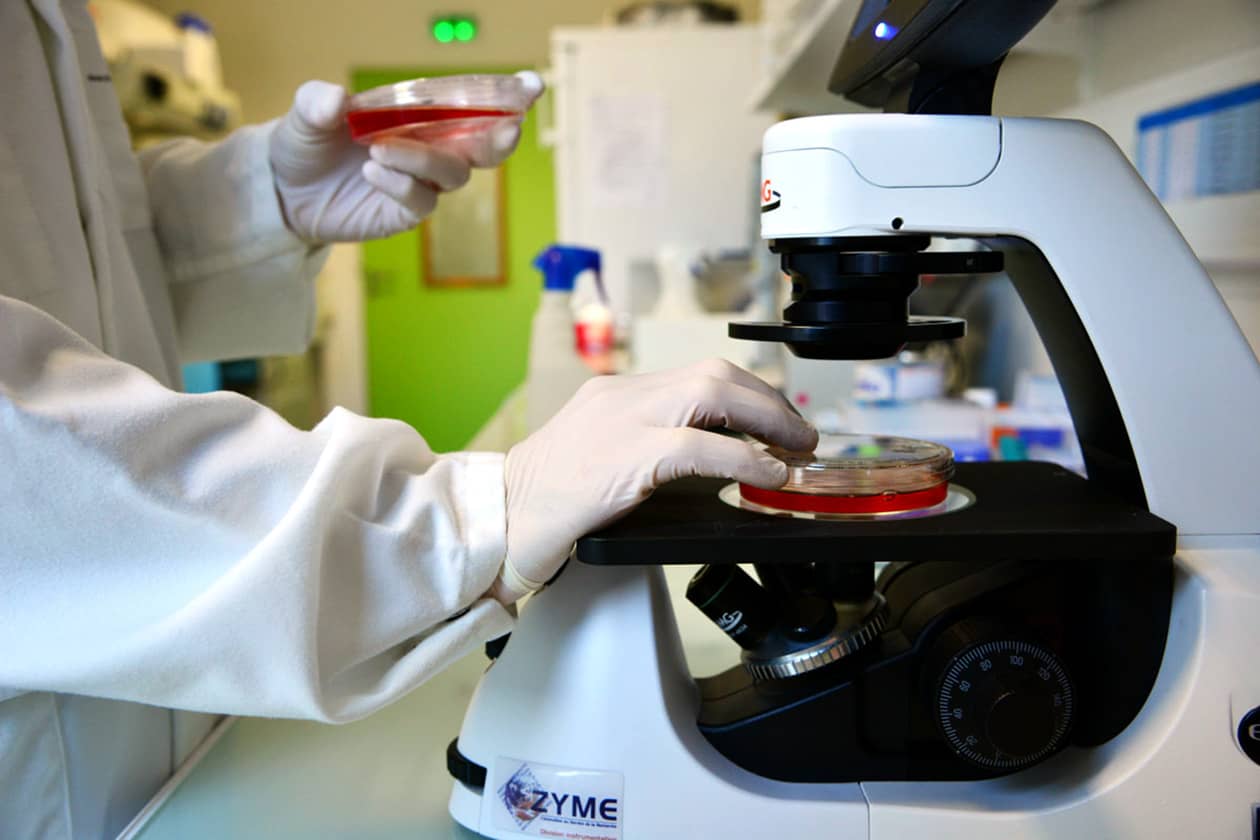 <hr>Laboratoire de biologie cellulaire.