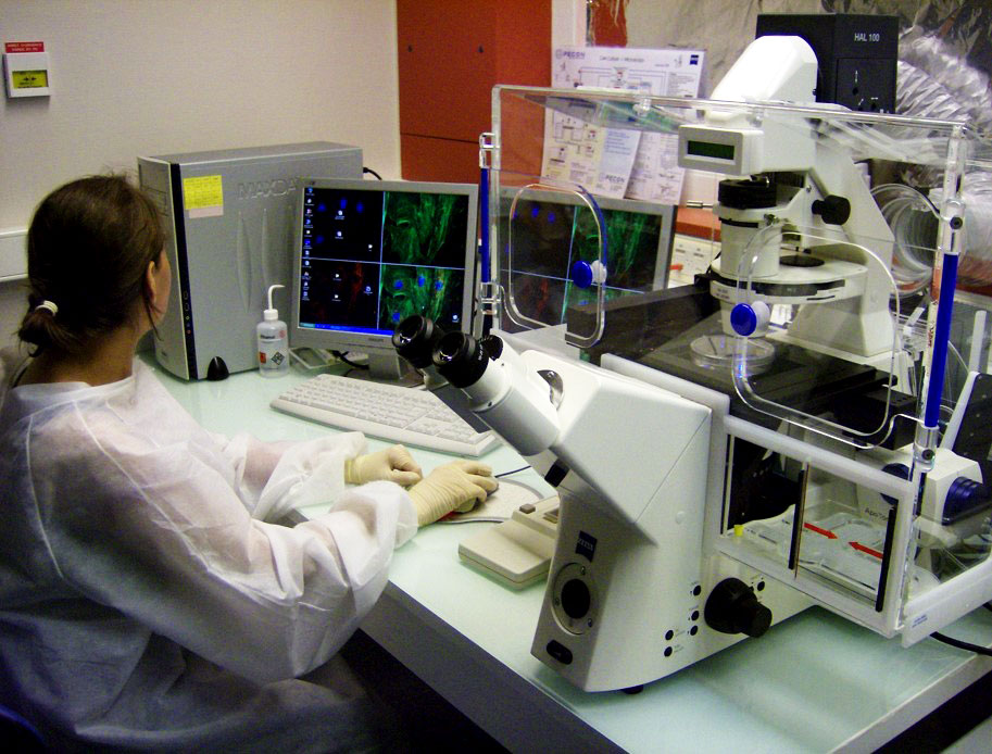 <hr>Microscope à fluorescence sur le site de Rennes-Biologie.