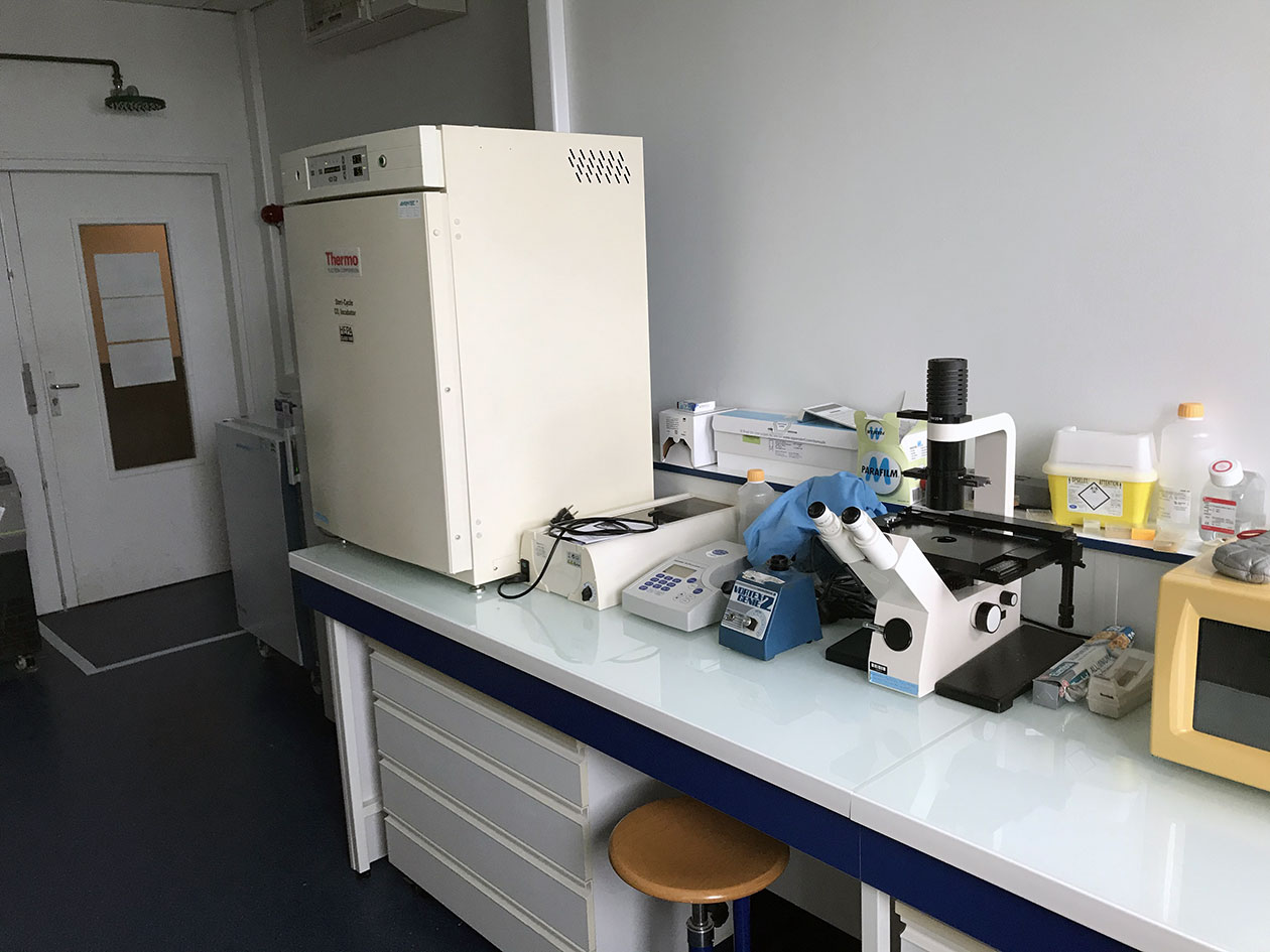 <hr>Laboratoire du site de Brest-Biologie pour la transfection de gènes et de biomolécules in vitro.