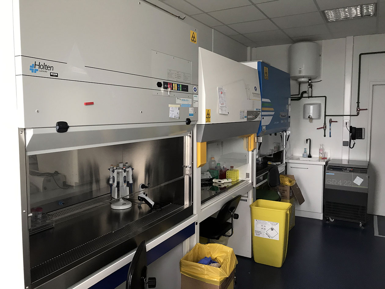 <hr>Laboratoire du site de Brest-Biologie pour la transfection de gènes et de biomolécules in vitro.