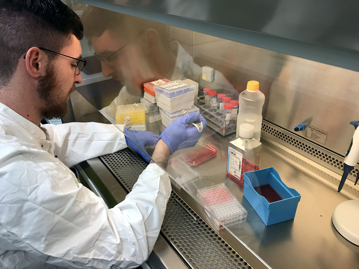 <hr>Transfection de gènes in vitro par des vecteurs synthétiques sur le site de Brest-Biologie.